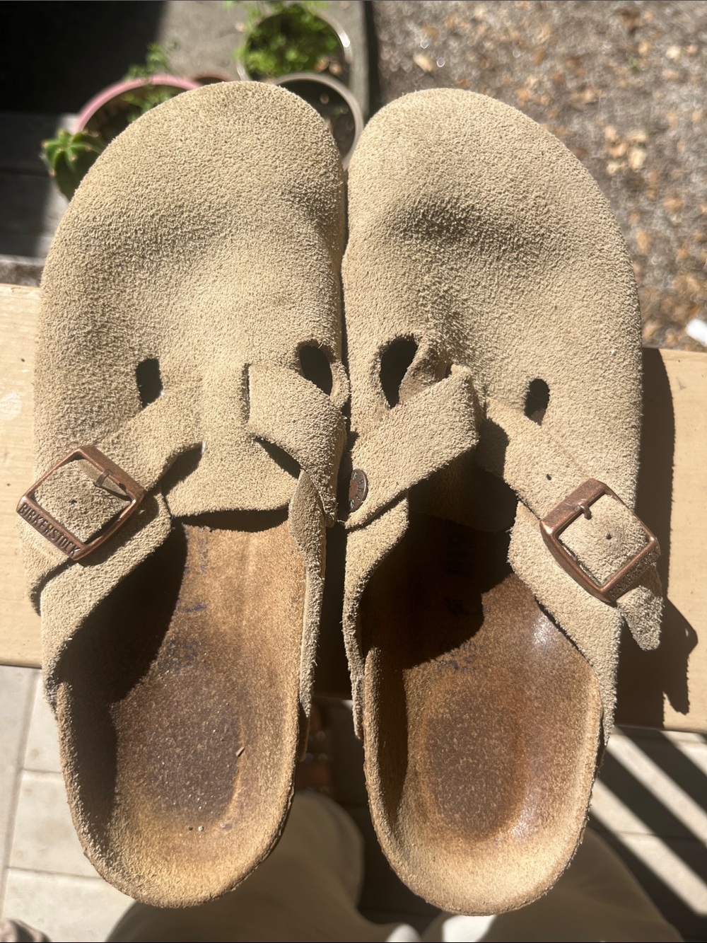 Birkenstock Sand Suede Buckle Clogs